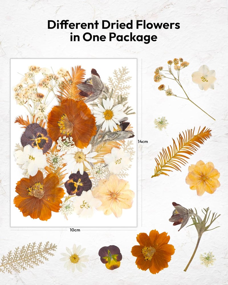 Resiners Dried Flowers, 100Pcs Pressed Flowers for Craft Real Natural Dried Flowers Dry Leaves Kit for DIY Making Crafts Resin Soap Candle Scrapbook Supplies Jewelry Making - Image 2